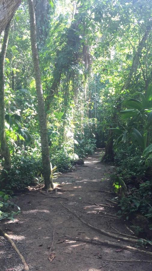 Hotel Cahuita Eksteriør billede