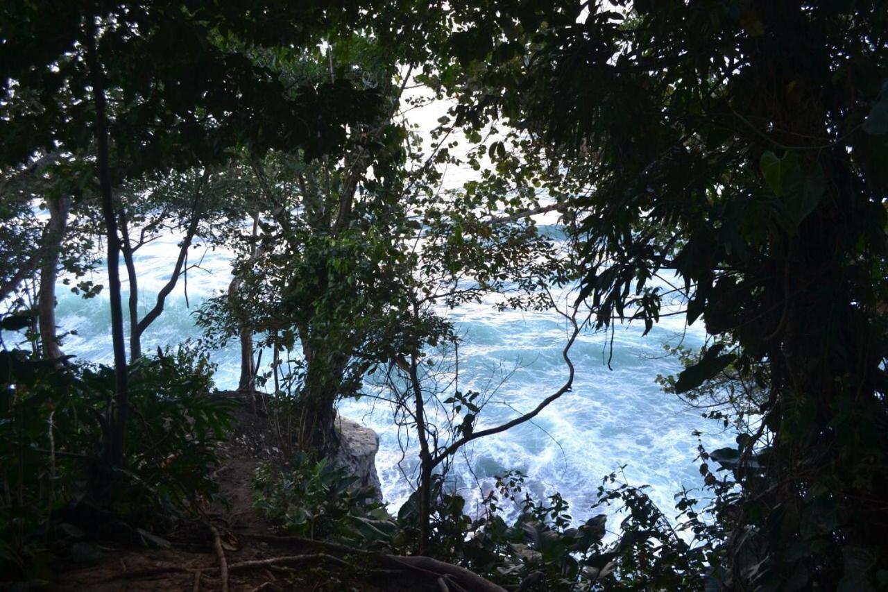 Hotel Cahuita Eksteriør billede
